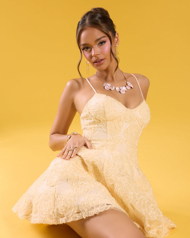 Alina Floral Soutache Corset A-Line Dress