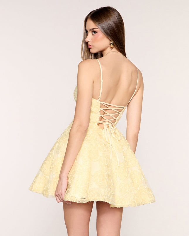 Alina Floral Soutache Corset A-Line Dress